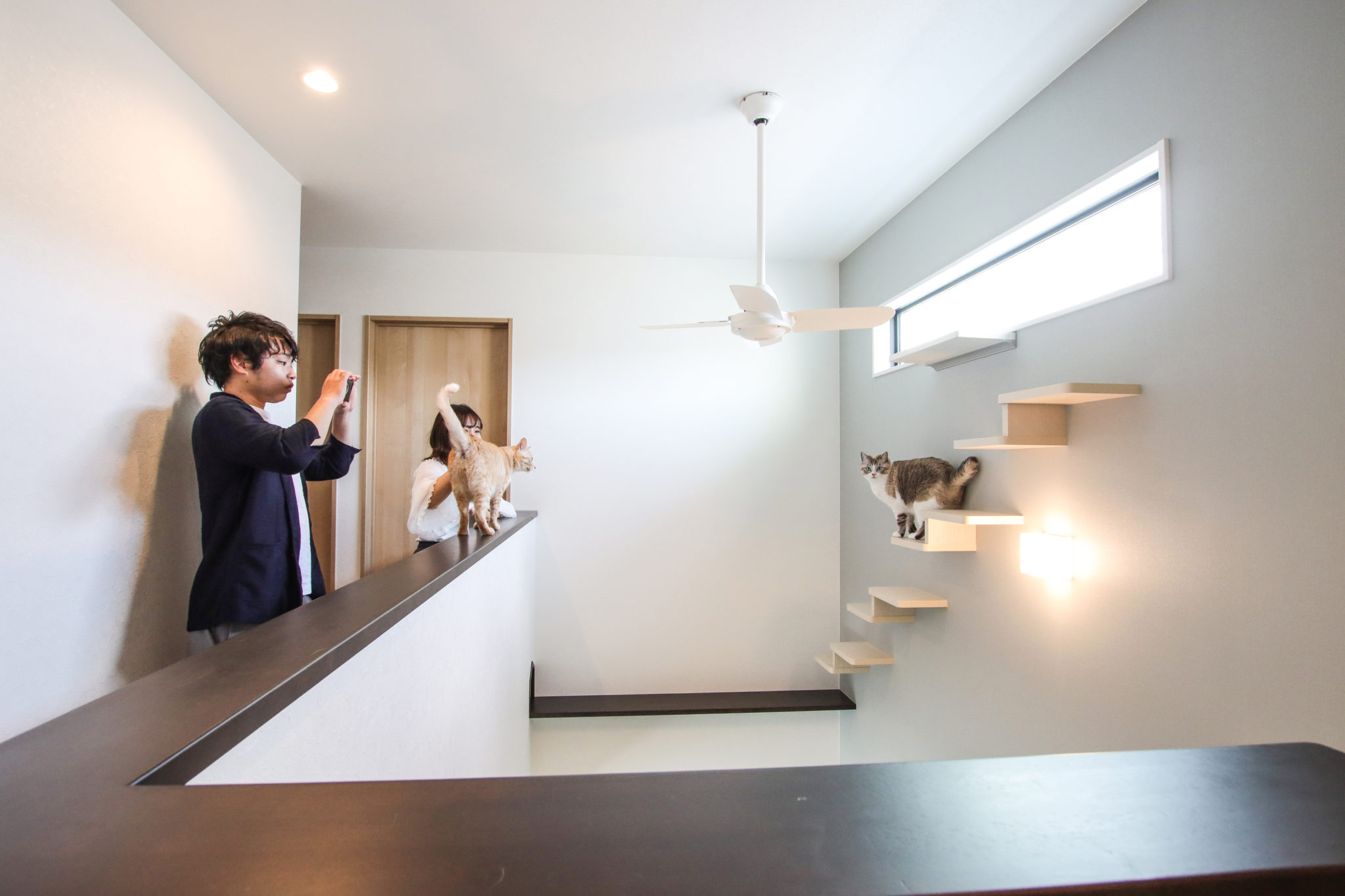 愛猫と癒しの時間を過ごす家