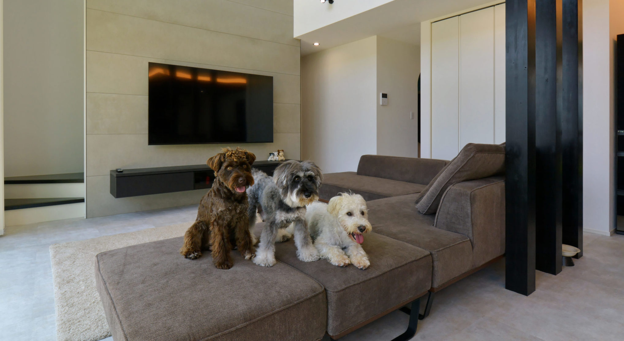 愛犬との暮らしを充実させる家